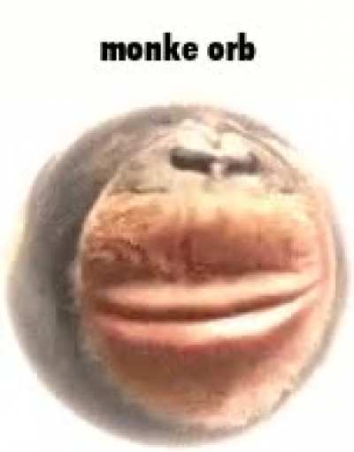 New orb skin