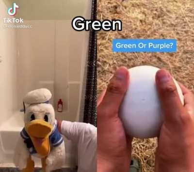 Green or Purple?