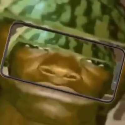 W&acirc;terməl&ouml;ň m&acirc;ň
