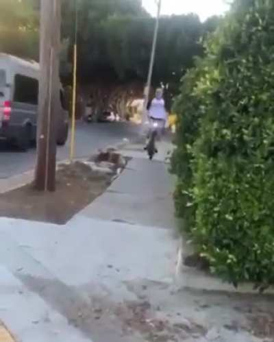 WCGW riding a bike