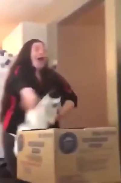 The cat&rsquo;s reaction