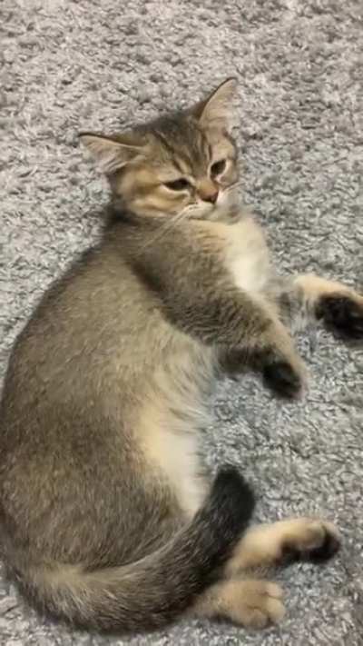 Oh, it&lsquo;s just you?
