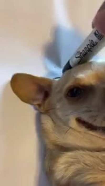 Cute.