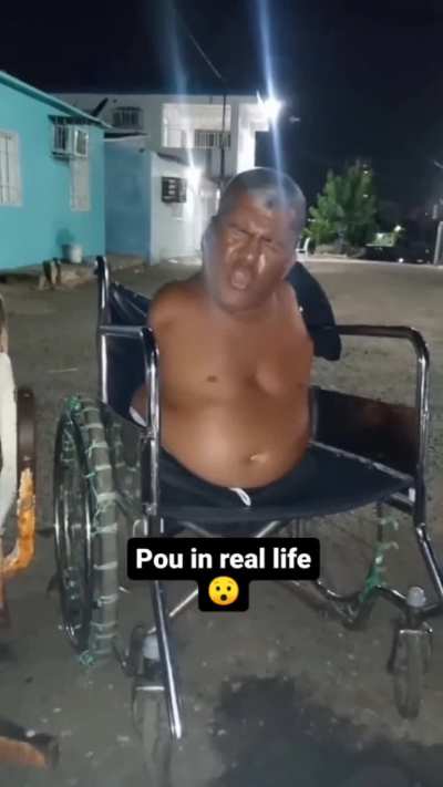 Pou ou tortuguita irl? 🤔