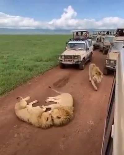 Damn third wheel