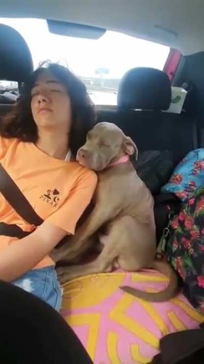woof_irl