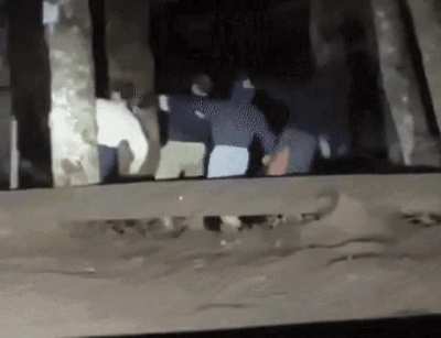 Local villagers after Geralt liberated the area from bandits