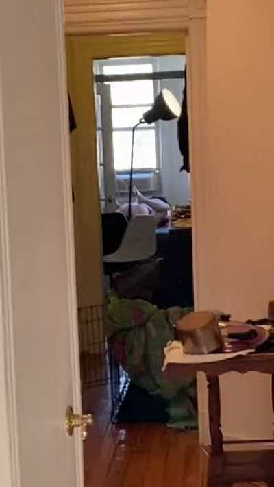 After I drunkenly suggest a threesome, my roommate out lasted me so I let him keep Fucking my girlfriend. POV me from my bedroom. Sound recommended
