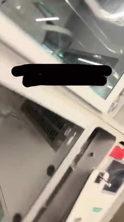 Dusty and Zucchini&rsquo;s story (originally posted to Tik Tok on Monday, December 15th)