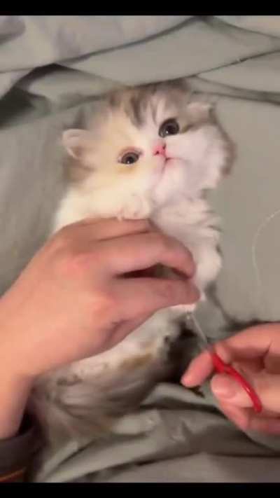 Cuteness overloaded 😅