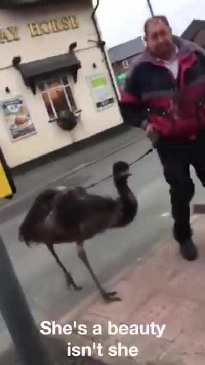 Daft cunt