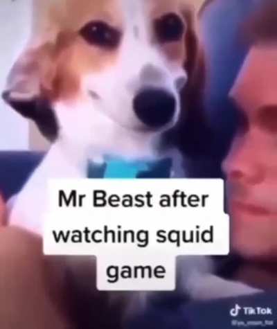 mr shbeast