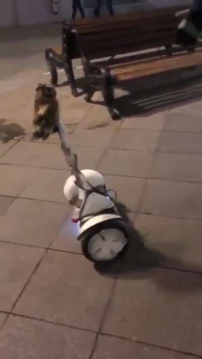 сдорогееее!