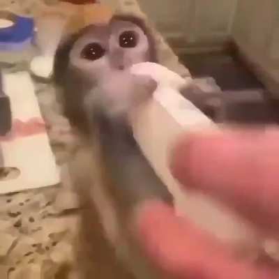 Aaaaaaaa