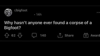 the real questions