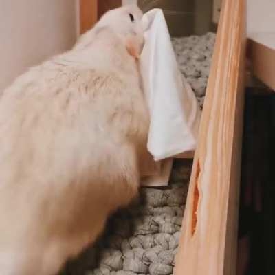Shufflin napkins