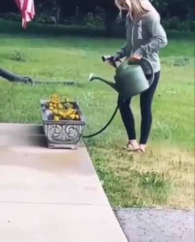 WTF ??