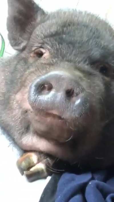 Heard y&rsquo;all like lip smackin&rsquo;