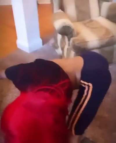 🤤🤤🤤🤤🤤