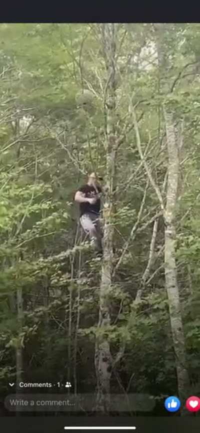 Trying to knock down a hornet&rsquo;s nest with no protective gear