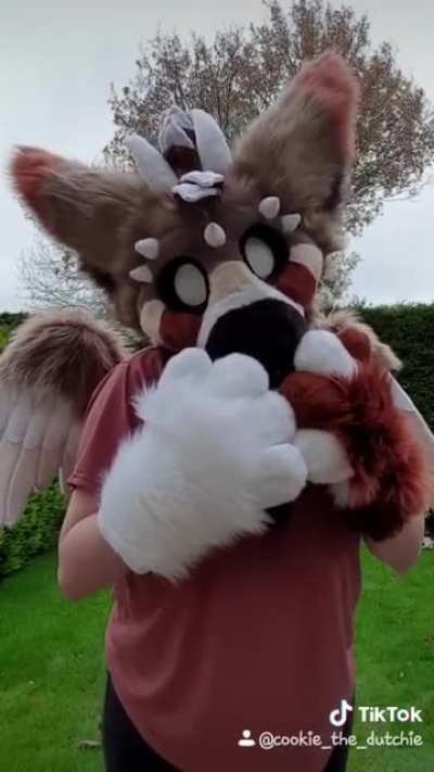 UwU, rawr, love