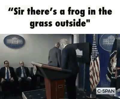 rule