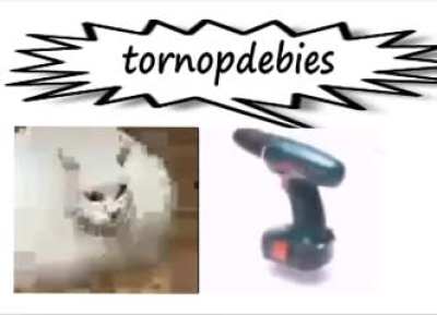 What's the song?