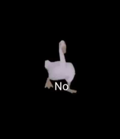 No