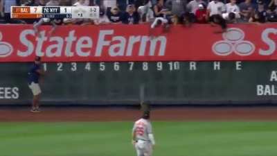 Cat find itself inside the Yankee stadium while a match was still ongoing.