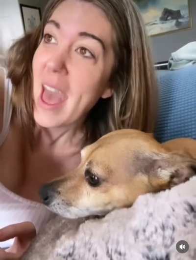 Old but gold! Sorry in case it was posted here before&hellip;