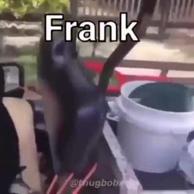 F̰r̸ȃ̭͞n̴k̷̔̒͝