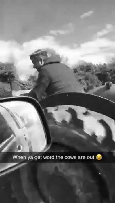 Someone&rsquo;s an idiot....