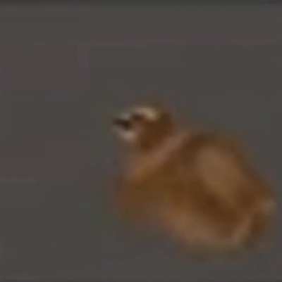 E P I C