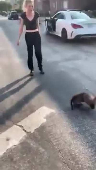 Women so upset with mans skin color shes throws a dog.