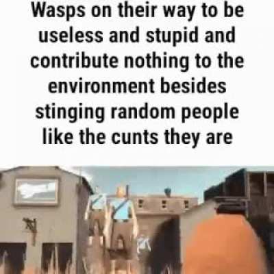 I am the wasp here!