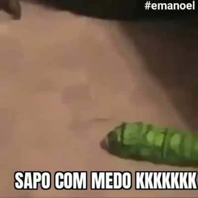 Kkkkkkkkj