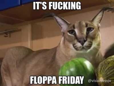 It's fucking floppa friday