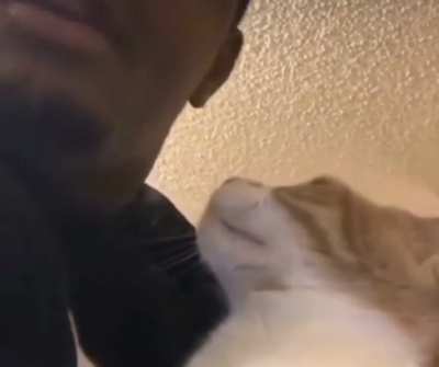 Gimme kiss