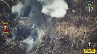 Ukrainian FPV Mamonth drone targeting russian positions