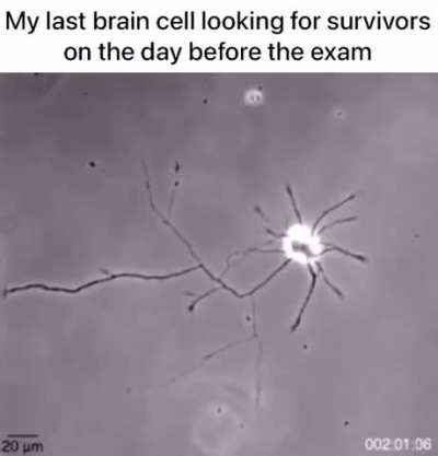 Anyone out there?