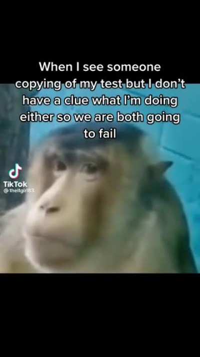 test be like