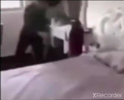 VAMO DEI