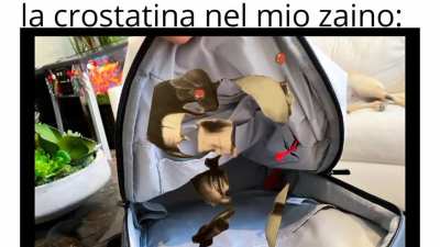si pu&ograve; postare?