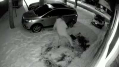Neighbor really doesn’t like security cameras. How can you hate something that captures moments like this?