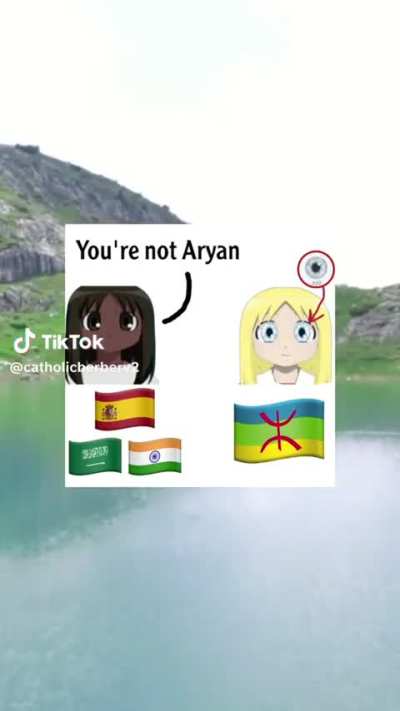 Berbers on Reddit 🫒🗿 vs Tiktok 👱🏻&zwj;♂️⚡️