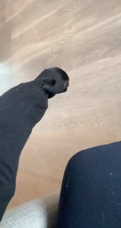 What's this