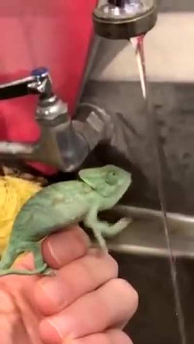 He fell