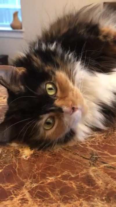 Look at me! Aren&rsquo;t I cute?