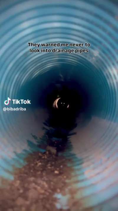 Tube