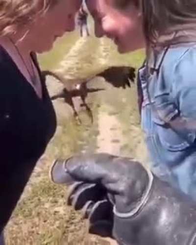 Вот так техника